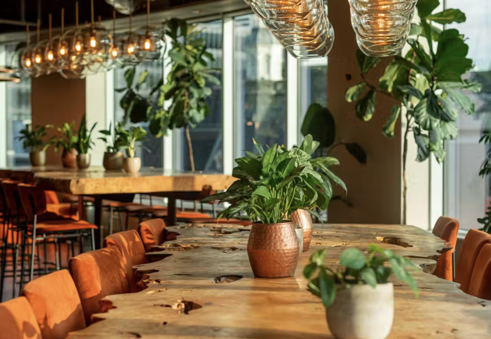 Modern hybrid workspace with team collaboration