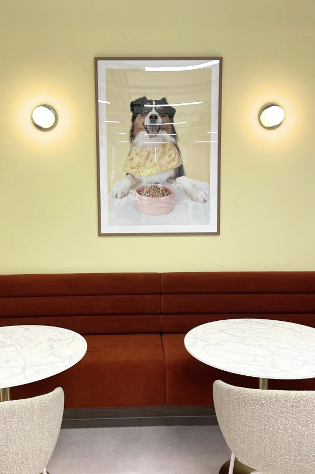 Butternut Box office wall featuring framed dog artwork in seating area
