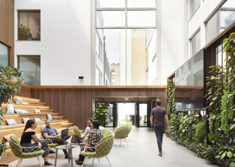 Modern sustainable office with plants and natural materials